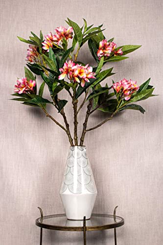 PTMD Plumeria Künstliche Blume - 72 x 25 x 110 cm - Kunststoff - Pink