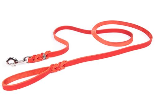 CopcoPet - Hundeleine Rot 2,5 m x 10 mm aus hochwertigem Rindsleder - Weiche Fettlederleine mit Chrom Karabiner - Geflochtene Führleine für Hunde - Hunde Zubehör 100% Handmade in Germany