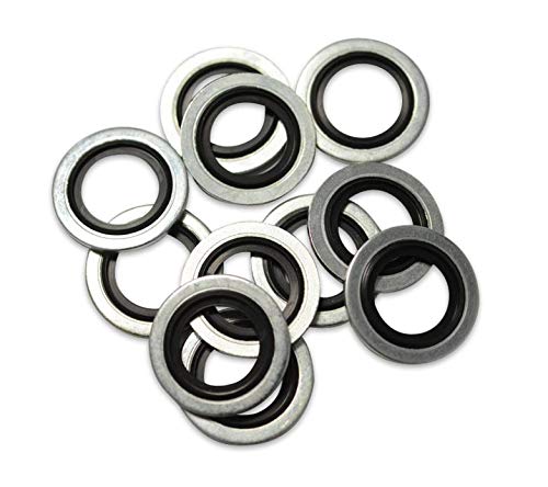 Ringe BS (Bonded Seals) von 22 mm Tüte mit 25