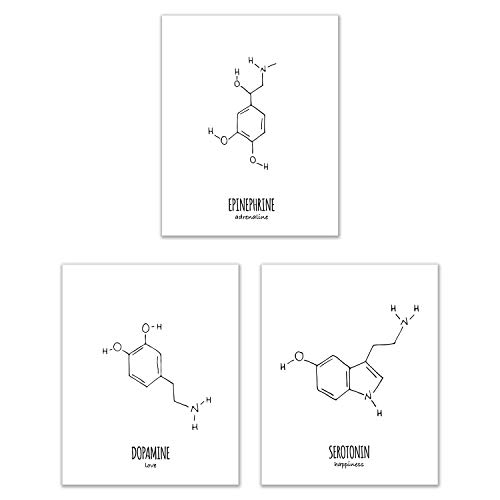 Picture This Prints Happiness Love Adrenaline Formelfoto-Set mit 3 Posterdrucken, 20,3 x 25,4 cm, Epinephrin Serotonin Dopamin