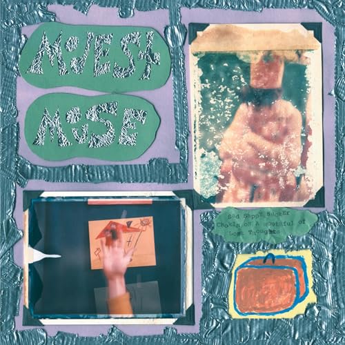 Sad Sappy Sucker [Vinyl LP]