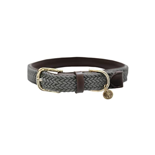 Gefl. Nylon Hundehalsband grau XS