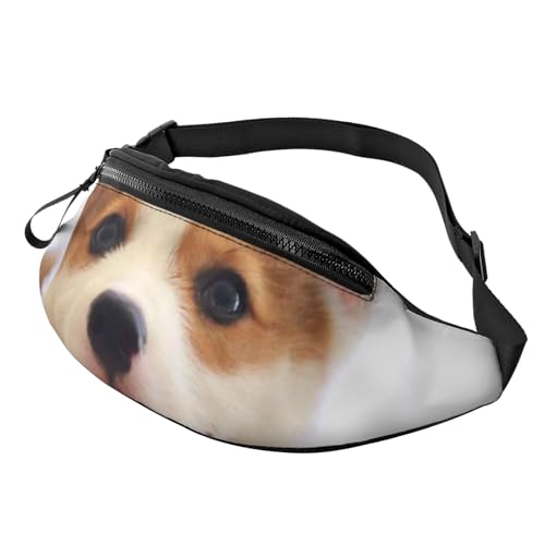 HSJFS Modische Hüfttasche mit Cartoon-Tierdruck, verstellbare Hüfttasche, lässige Brusttasche, Süße Corgi, Einheitsgröße