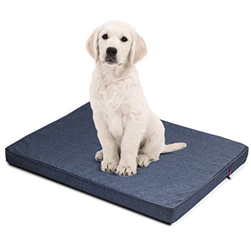 BoutiqueZOO Hundematratze für Hunde | L: 100 x 75 x 6 cm | Hundesofa Hundekissen Hundematte für groß und klein | Codurastoff | Elegant | Waschbar | Farbe: Blau