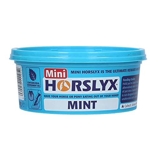 Horslyx Minze - Sonstige - 5 Kilo