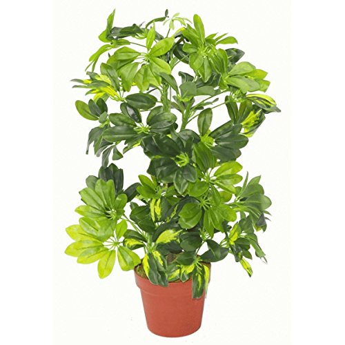 Leaf LEAF-7008 Künstliche Schefflera Arboricola Pflanze Regenschirm, Goldfarben, 75 cm Deluxe, 75cm