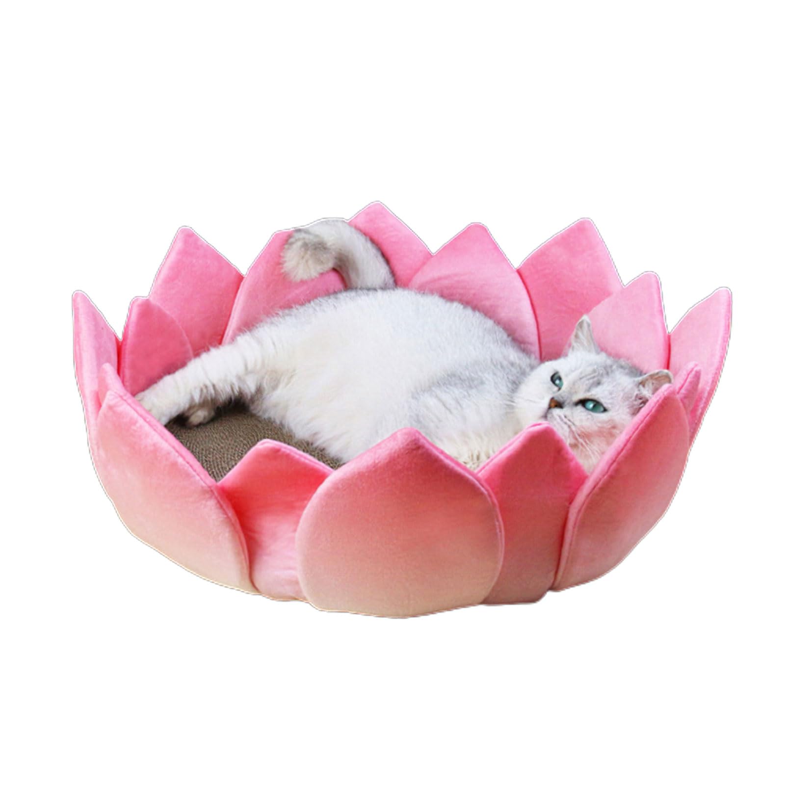 Katzenkratzspielzeug LotusShape Kratzbrett Kratzspielzeug Kätzchen Kratzbett Spielzeug Möbelschutz Haustier Favor Geschenk Katze Kratzpad Katzenbett Katzenkratzer