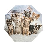 My Daily Niedlicher Chihuahua-Regenschirm für Reisen, automatisches Öffnen/Schließen, leicht, kompakt, winddicht