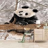 Tierischer Panda Im Schnee 3D Tapeten Wanddekoration Fototapete Sofas Wohnzimmer Wandbild Schlafzimmer-350cm×256cm