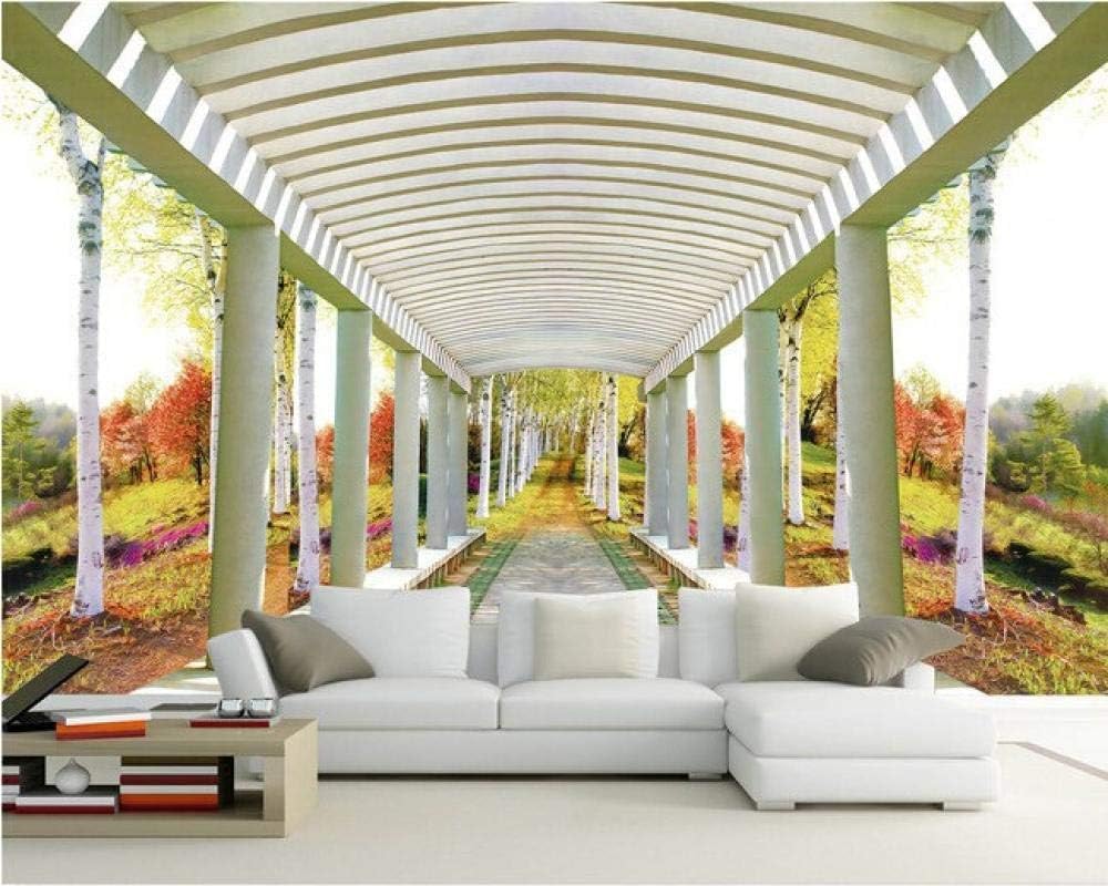 Promenade Birken Wälder 3D Tapete Poster Restaurant Schlafzimmer Wohnzimmer Sofa TV Dekorative Wand-350cm×256cm