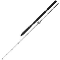 Daiwa BG Jigger 1,70m 150-400g