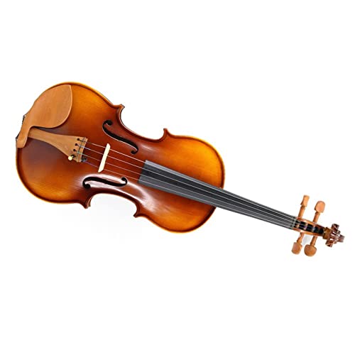 Violine Anfänger Gemusterte Handgespielte Geige Zubehör Aus Dattelholz Griffbrett Aus Ebenholz Geige (Color : 1/2)