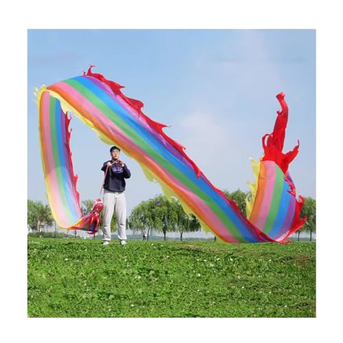 Drachenbänder, Tanzbänder, Tanzdrachenband-Streamer Outdoor-Fitness mit Wu Long 3D-Drachenkopf und Schaukelseil, mit Reisetasche(6m/20ft)