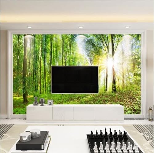 tyujlkjddlf Tapete Wandbild 3D Benutzerdefinierte 3D-Wandbild, Wohnzimmer, Sofa, Hintergrund, Tapete, Kleine Brücke, Fließendes Wasser, Wandtuch-300Cmx210Cm