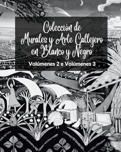 Colección de Murales y Arte Callejero en Blanco y Negro - Volúmenes 2 y 3: Dos libros fotográficos sobre arte y cultura urbanos
