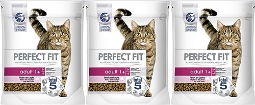 Adult 1+ – Trockenfutter für Erwachsene Katzen ab 1 Jahr – Reich an Lachs – Unterstützt die Vitalität – 3 x 750 g (3 Beutel)