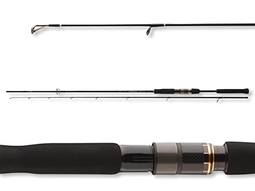 Daiwa Airity Jigger 2.70m 8-35g Spinnrute