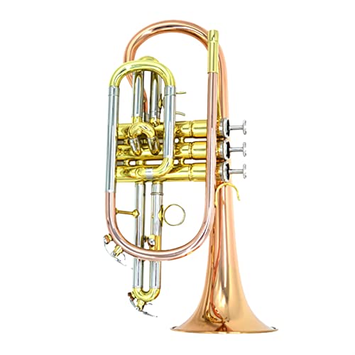 Trompete Messing B-flacher Phosphor Bronze Messing Cornets Instrument Anfänger Leistungstest (Color : Phosphor bronze)