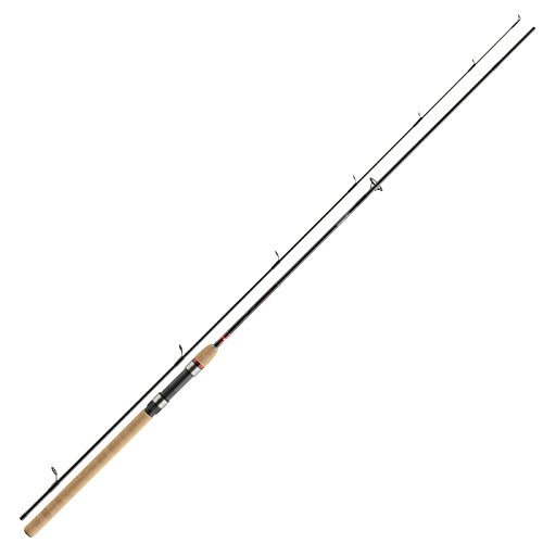 Daiwa Ninja X Spin 2,40m 30-70g Spinnrute