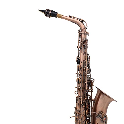 Professionelle rote Bronze gekrümmt EB E- flach Alto Saxophon SAX Abalone Shell Key Carve Muster mit Gehäusehandschuhe Riemen Pinsel