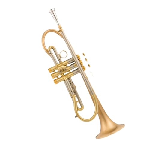 Standard Trompete Professionelles TR800-Trompeteninstrument mit Gold-Kupfer-Versilberung und B-Dur-Beschichtung(Color:Gold)