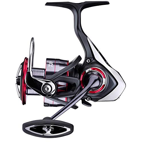 Daiwa Fuego LT 6000D, Spinning Angelrolle mit Frontbremse, 10225-605