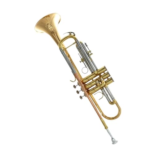 Standard Trompete Trompeteninstrument B-Horn versilbert lackiert Gold Anfänger Trompete spielen