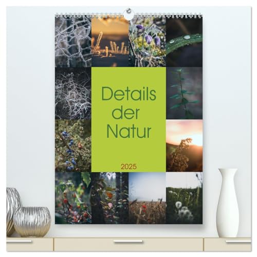Details der Natur (hochwertiger Premium Wandkalender 2025 DIN A2 hoch), Kunstdruck in Hochglanz