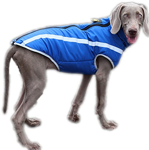 Hundemantel Dicke Jacke für Große Hunde, Winter Warme Baumwolle Hundekleidung Weste mit Geschirr Loch, Reflektierende Hundekleidung mit Verstellbarer Schnalle ( Farbe : Blau , Größe : XXXXXX-Large )