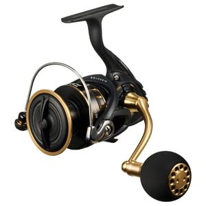 Daiwa Spinnrolle 23BG SW 5000D-CXH