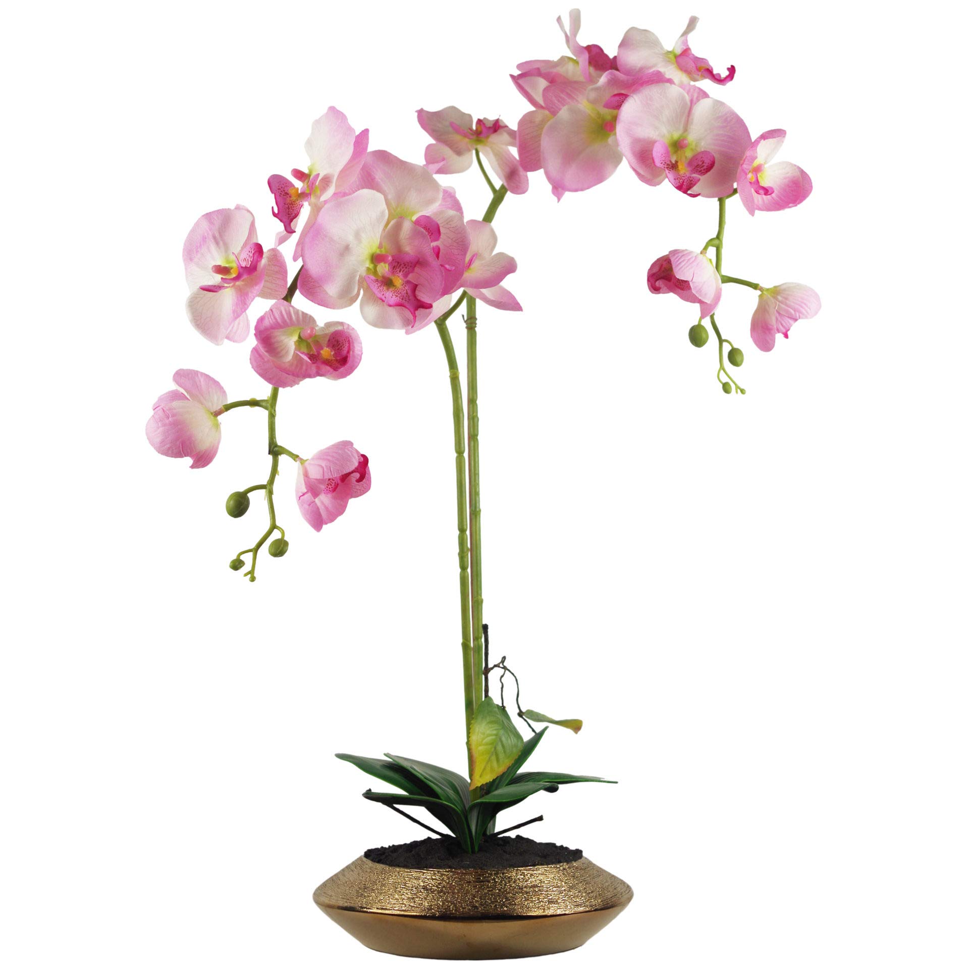 Leaf Künstliche Orchidee mit goldfarbener Schale, 70 cm