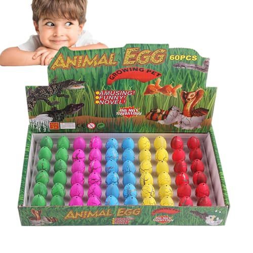 Dinosaurier-Bruteier,Dinosaurier-Bruteier, Hatch Egg Crack Dig Kit Grow in Water Dino Egg Toys Science Kits, Dinosaurier-Partygeschenke, Geburtstagszubehör, Archäologie-Wissenschafts-Partygeschenke