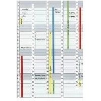 FRANKEN Datumstreifen für Planungstafel JetKalender 1203 magnetisch, Farbe: weiß, Maße: (B)191 x (H)695 mm - 1 Stück (DS1203A)