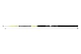 DAIWA Sealine X'Treme Interline Light 762MH, 2 Teile, 2,25m, 100-250g, Jigger-Meeresangelrute, 11845-225