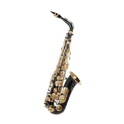 Gold lackiertes saxophon Eb Altsaxophon Messing lackiert Gold mit Tragetasche Handschuhe Riemen Pinsel von Sax Zubehör(Gold)