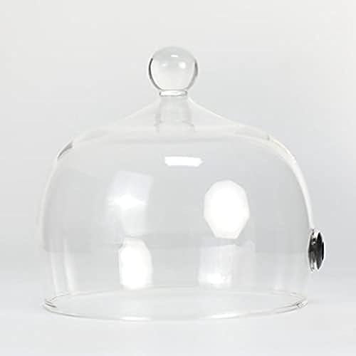 Glas-Cloche-Kuppel für Lebensmittel, Getränke, Glas-Display, Rauchen, Cloche, Cocktails, Rauch-Ei, Zubehör, 16 x 16 cm