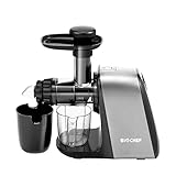 BioChef Axis Compact Entsafter/Slow Juicer/Horizontaler Entsafter - 150Watt & 80 U/min: Der ultimative Weizengras und Blattgemüse Entsafter (Silber)