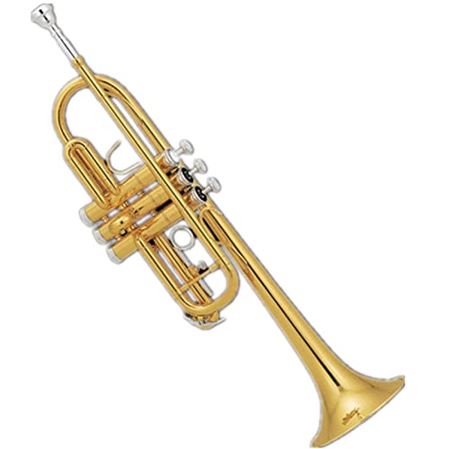 ZENGXUE Beliebte Note C Key Gold Lacquer Trompete Standard-Trompetenset