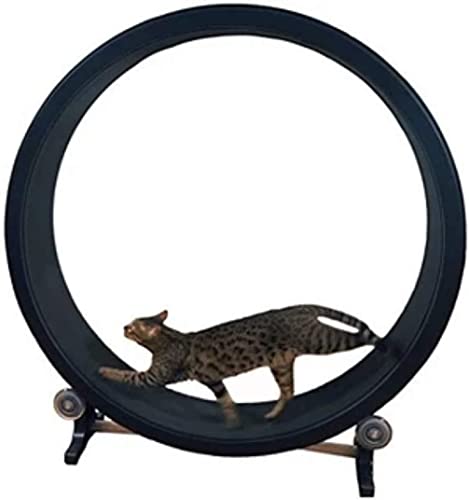 Katzen-Übungsrad Katzen-Klettergerüst Katzenspielzeug Roller Katzenlaufband Katzen Abnehmen Gewichtsverlust Gerät für Haustier Abnehmen und tägliche Übung