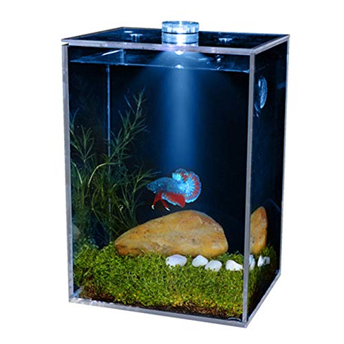 BFVAKBKYT Aquarium, Kleine, ultratransparente, klare Fischschalen, quadratische LED-Aquarium-LED-Heizung mit Landschaftsgestaltung, Wasserpflanzen-Imitation