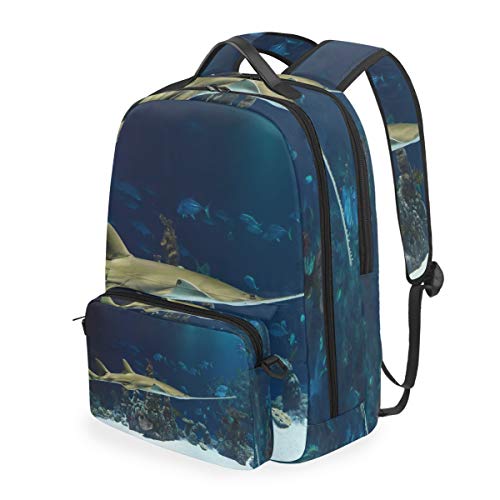 MONTOJ Aquarium kleine Hai Reisetasche mit Kreuztasche Campus Rucksack