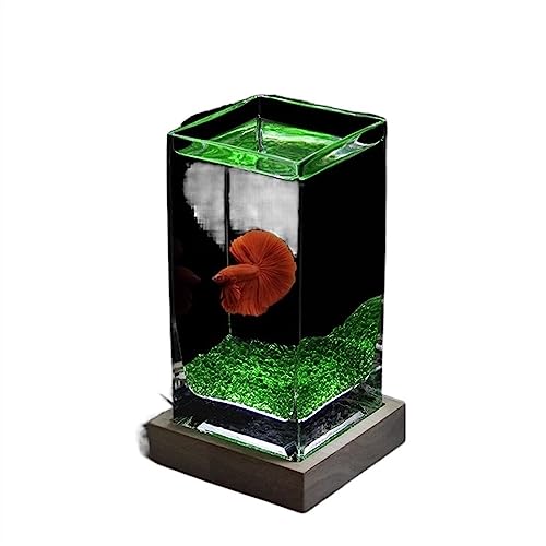 Aquarium, Quadratischer, hochtransluzenter Kampf mit Holzsockel, tropisches, verdicktes Glas, Desktop, klein