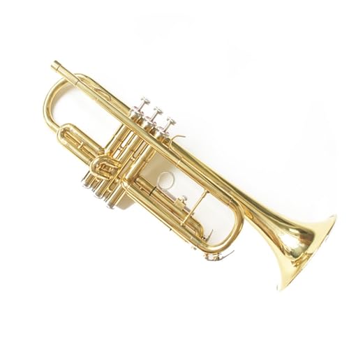 Standard Trompete Blasinstrument Mittelstufe Trompete exquisite Trompete in B-Dur