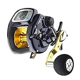 Daiwa Multirolle Tanasensor 500 Rechtshand