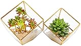 ElegantLife Geometrisches dekoratives unregelmäßiges Terrarium, klares Glas-Pflanzgefäß, Tischplatte, Sukkulenten, Moos, Blume, Pflanzkasten, Pflanzgefäß, schwarz, DIY (keine Pflanzen) (kubisches