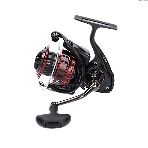 Daiwa BG Red 3000 Meeresrolle