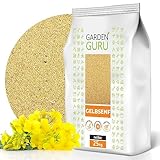 GELBSENF 25 kg Saatgut Senf gelb Senfsaat TOP Gründünger Bienenweide Pollen