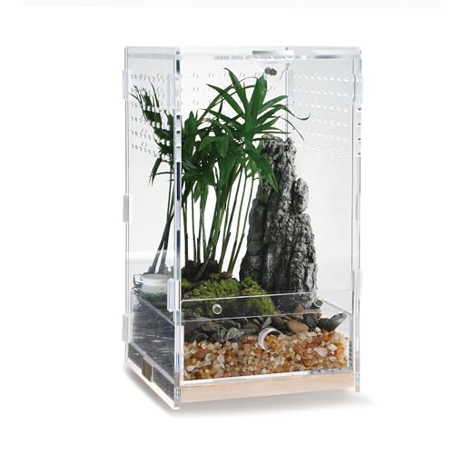 WBHONGHUI Transparentes Terrarium für Reptilien, Acryl, mit Riegel, perfekt für Amphibien und Wirbellose wie Spinnen, Frösche usw., horizontaler oder vertikaler Stil (vertikales Holz, klein)