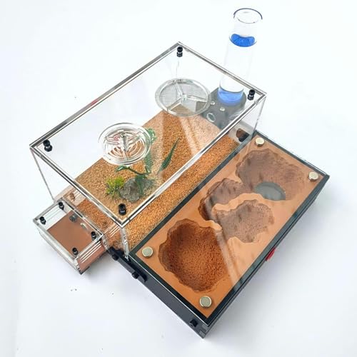 DIY Acryl Ameisenfarm Gips Formicarium Ameisennest Ameisen Haus Villa Insekt Haustier Ameisen Zucht Box Ameisenhaufen Werkstatt Ant Nest Ant Farm (Color : C)-1