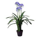 Leaf Blüte Design UK Künstlicher Blütenbaum, Blauer Agapanthus, 90 cm, Seide